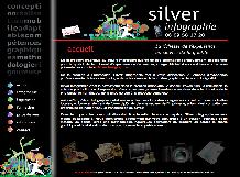 Silver Infographie